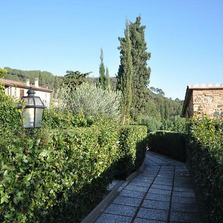 Monolocale Con Piscina S.Martino Διαμέρισμα Riparbella Εξωτερικό φωτογραφία